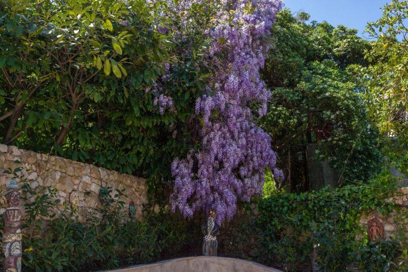Apartment Luna I Lucky Dubrovnik Ngoại thất bức ảnh