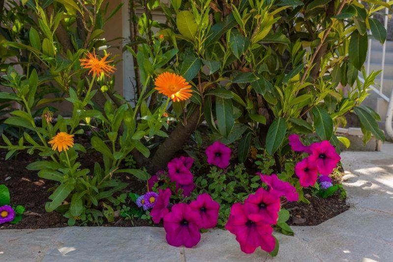 Apartment Luna I Lucky Dubrovnik Ngoại thất bức ảnh